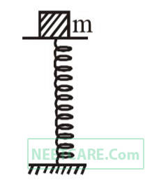 AIPMT 2007 Physics - Oscillations Question 32 English