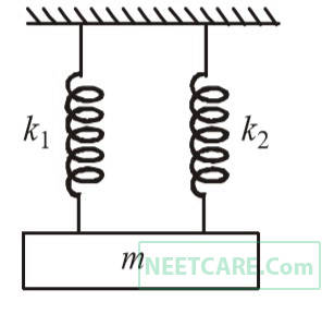 AIPMT 2002 Physics - Oscillations Question 16 English