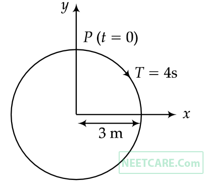 NEET 2019 Physics - Oscillations Question 16 English